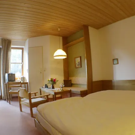 Hotel Friedenshoehe-2